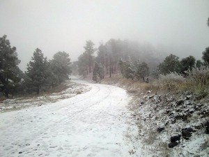 nieve 4