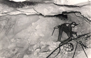 para ilustar a don raul