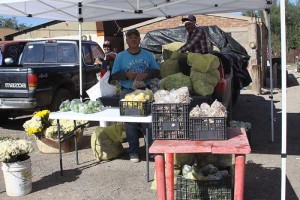 PANTEÓN DÍA MUERTOS 2