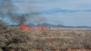 12695734_1663609247235397_1901595565_n