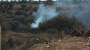 12736124_1663609187235403_1687640845_n