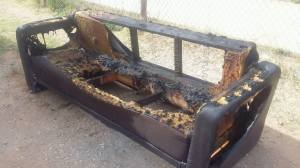 12443633_10207750451752118_91250225_o