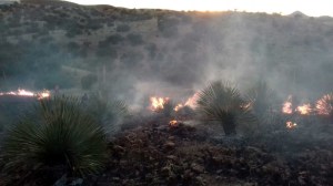 incendio cerro colorado 4
