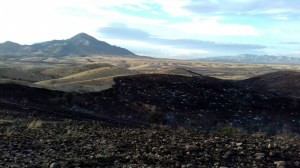 incendio cerro colorado 5