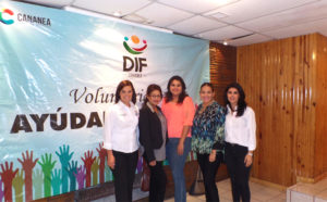 primer-informe-voluntariado