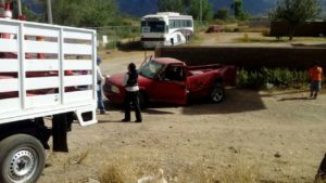 14924084_1780676575528663_181261420_o