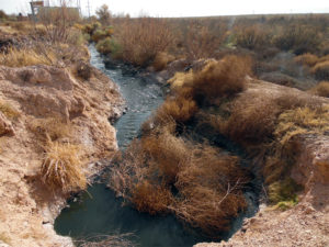 apson-contaminacion-1