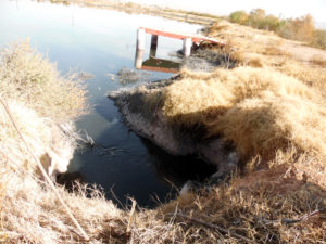 apson-contaminacion-4