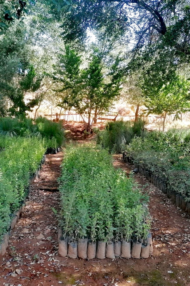 VM 6 Cuidados permanentes