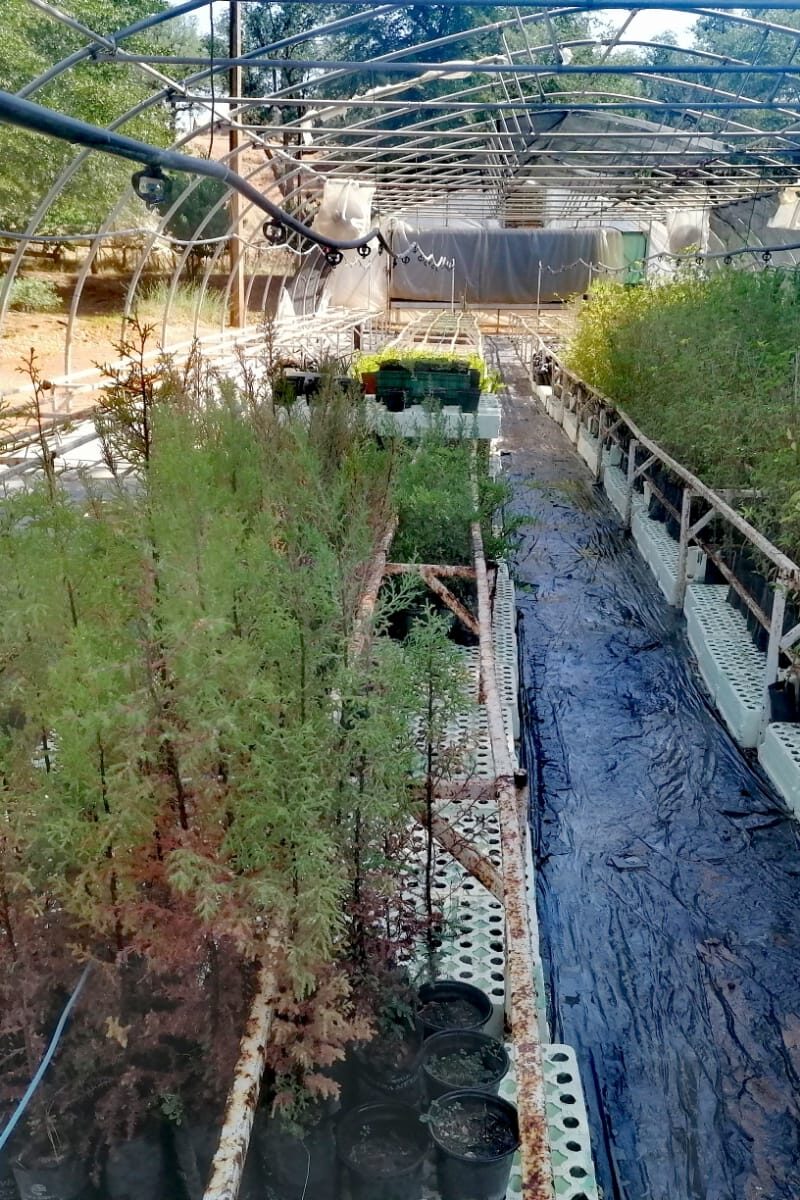 VM 7 Respeto por la naturaleza