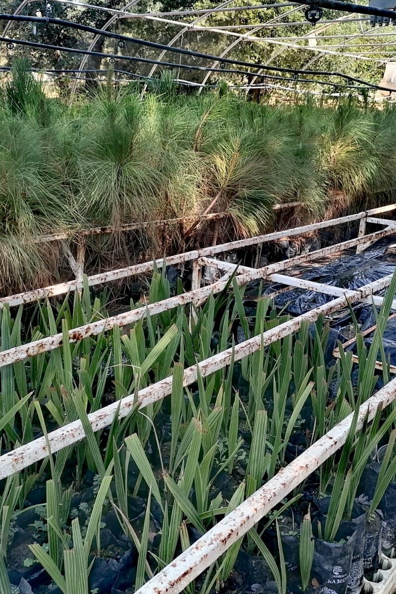 VM 9 Abierto a la comunidad