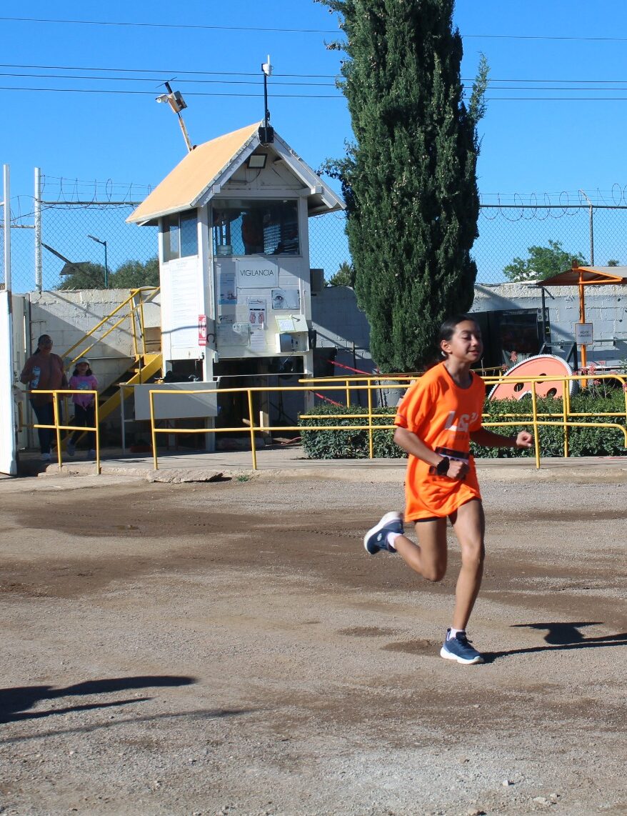 IMG-20260322-WA0050