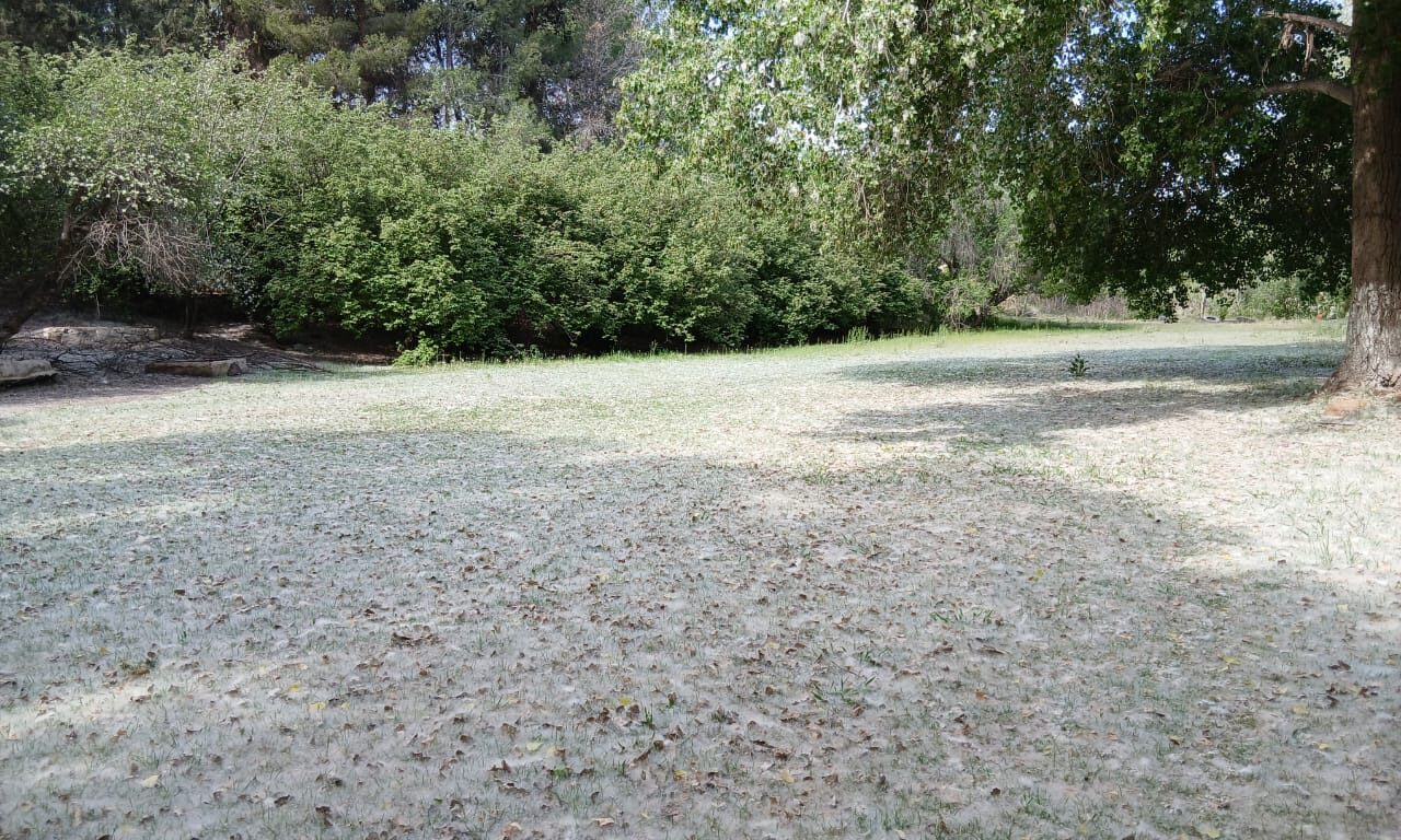 IMG-20260329-WA0024