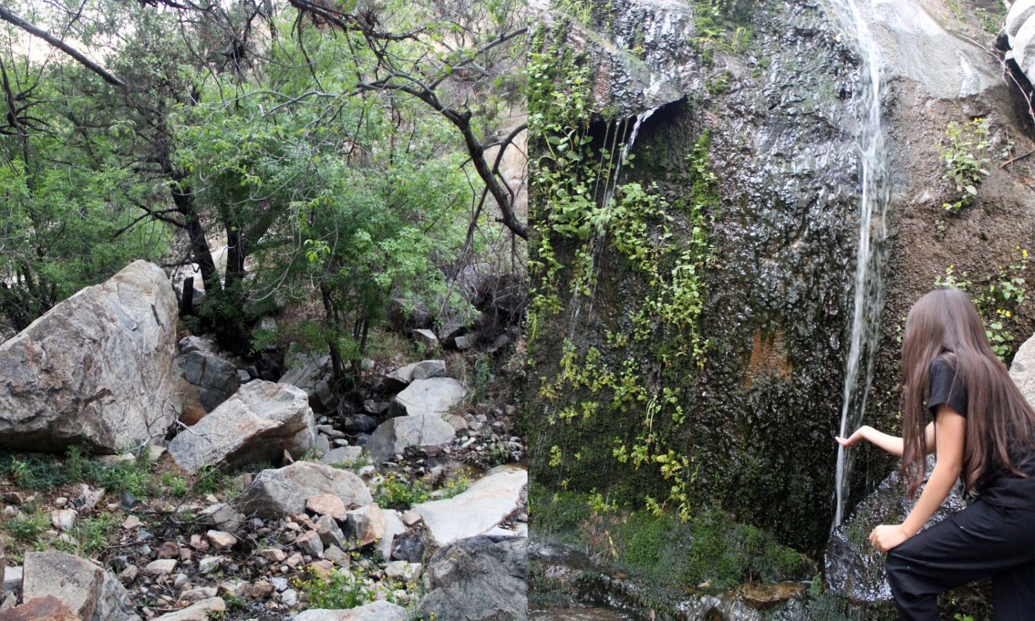 IMG-20260401-WA0279