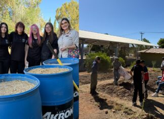 Estudiantes de la primara Elodia participan en proyecto ambiental