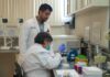 Garantiza Salud Sonora vigilancia epidemiológica ante brote de Ébola