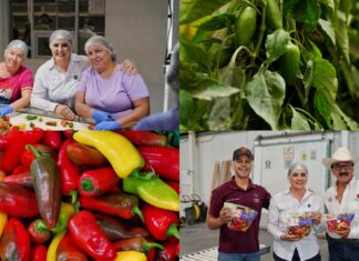 Destaca impacto de la hortaliza y trabajo de mujeres en el campo
