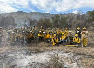 Combate coordinado por incendio forestal en la frontera Sonora-Arizona