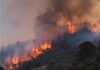 Ya suman 100 brigadistas atendiendo forestal de Arivechi