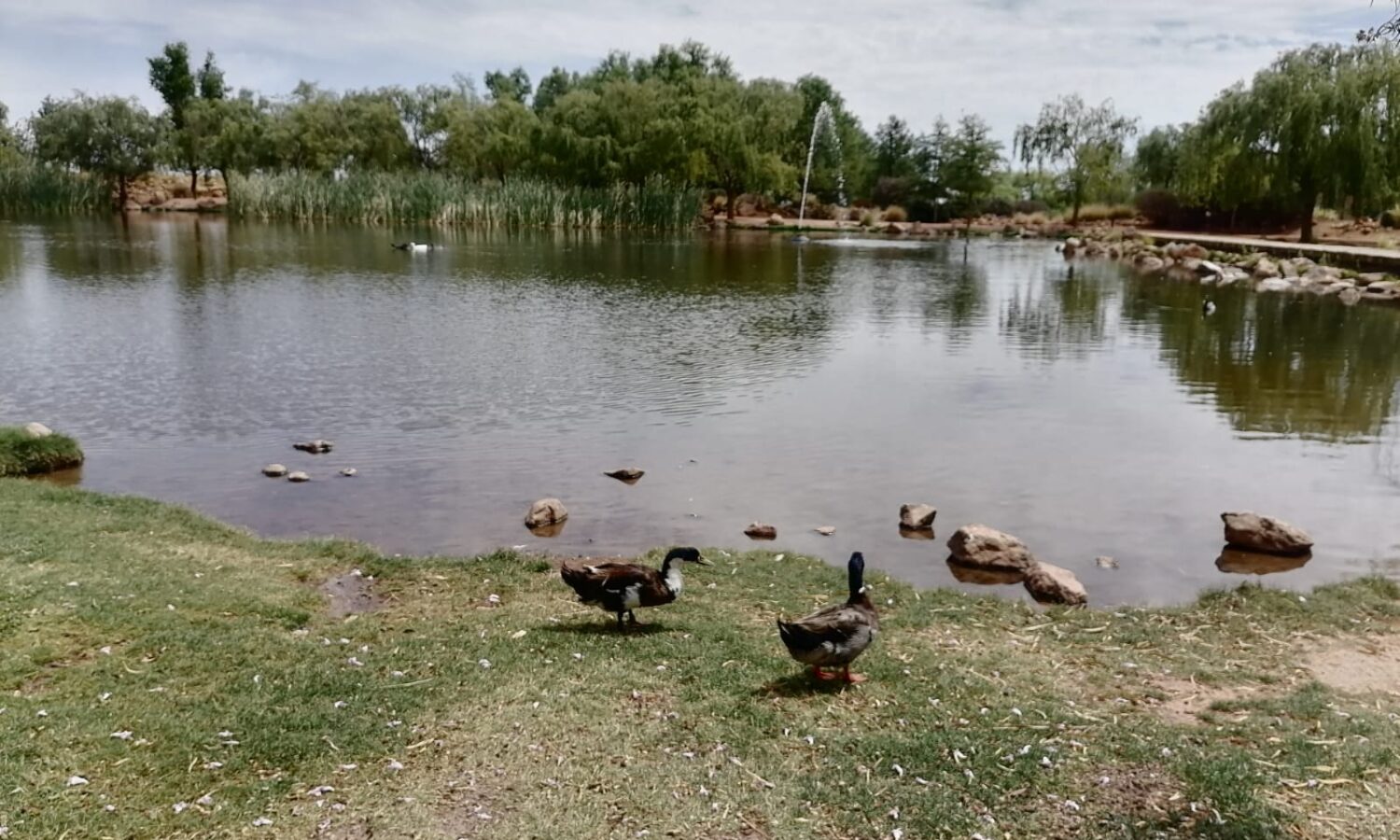 IMG-20260613-WA0274