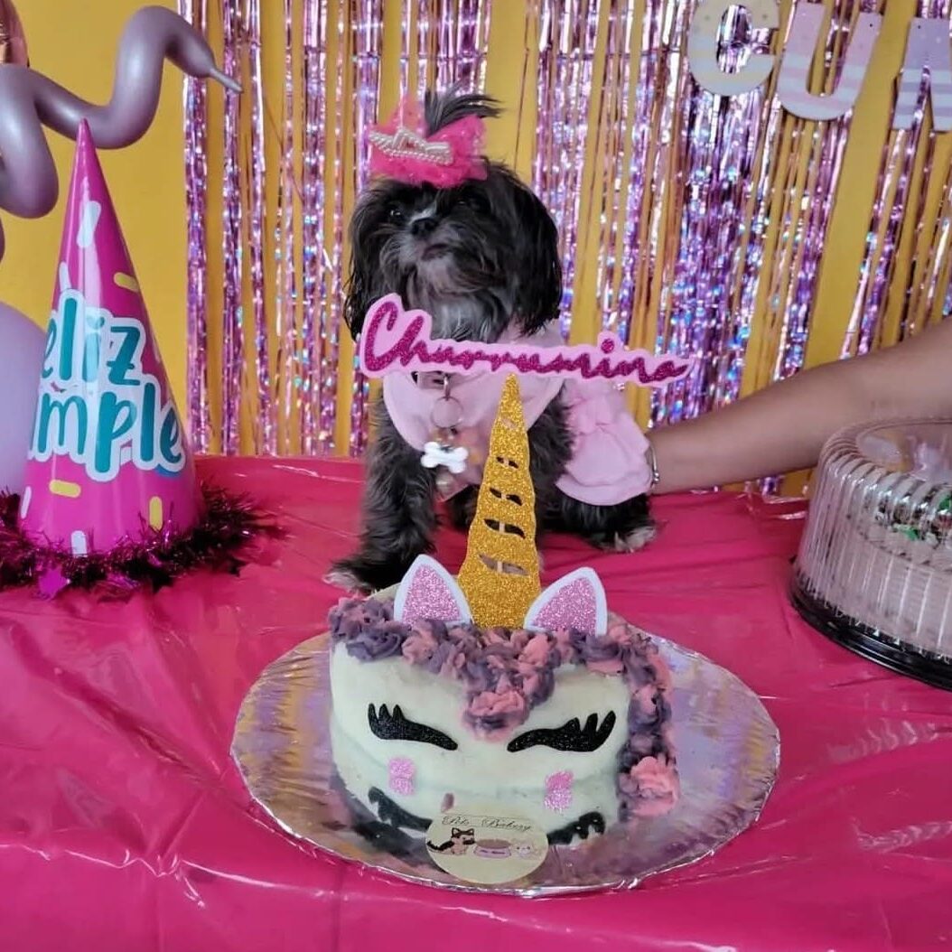 CHURRUMINA CUMPLE.jfif