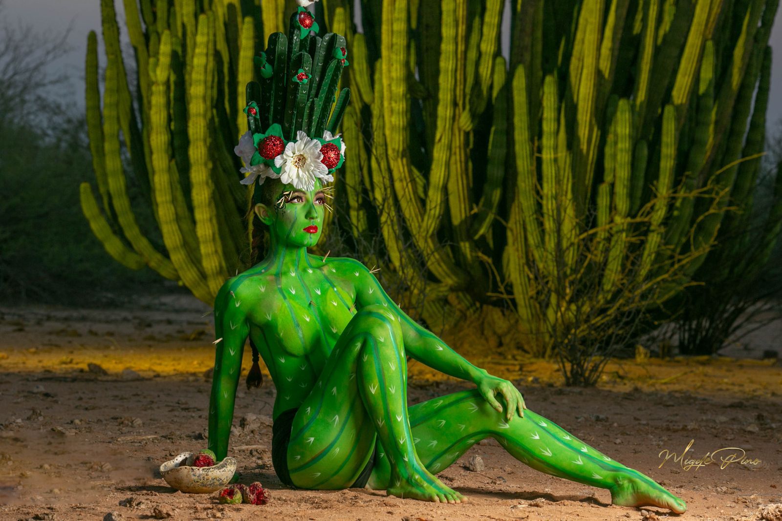 EXPOSICIÓN FOTOGRÁFICA DE LA PITAYA DE MIGDE PINO