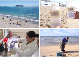 Playas de Sonora listas para recibir a las y los vacacionistas: SSP