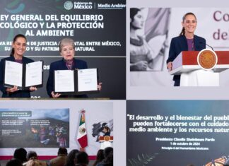 Sheinbaum envía iniciativa de Ley de Protección Ecológica y Justicia Ambiental