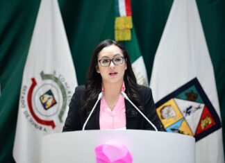 Promueve diputada incentivos para más empleos para jefas de familia